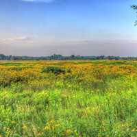 Another Prairie Landscape at Chain O Lakes State Park, Illinois