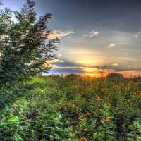 Beautiful Sunset at Chain O Lakes State Park, Illinois