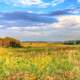 Grassy landscape under skies at Chain O Lakes State Park, Illinois