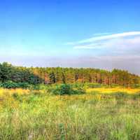 Landscape View at Chain O Lakes State Park, Illinois