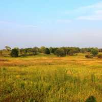 Prairie Landscape at Chain O Lakes State Park, Illinois