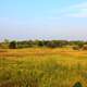 Prairie Landscape at Chain O Lakes State Park, Illinois