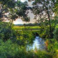 Stream in the park at Chain O Lakes State Park, Illinois