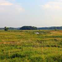 The prairie landscape at Chain O Lakes State Park, Illinois