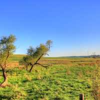 Landscapes outside of Charles Mound, Illinois