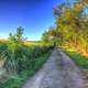 Path to the hilltop at Charles Mound, Illinois