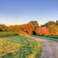 Winding Path at Charles Mound, Illinois
