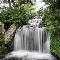 Beautiful Waterfall in the Chicago Botanical Gardens