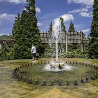 Fountain in the Rose Garden