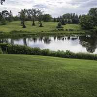 Grass, lawn, and landscape at Chicago Botanical Gardens