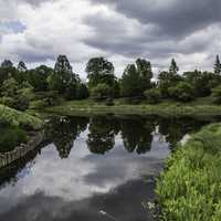 Lake, trees with stormy skies