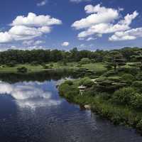 Sky, Clouds over the Japanese Gardens