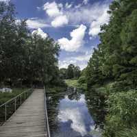 Walkway across the pond under the skies at Chicago Botanical Gardens