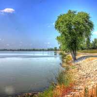 Scenic Lakeshore at Horseshoe lake State Park, Illinois