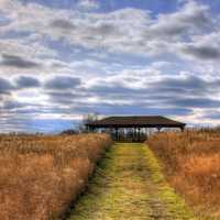 Path up to the picnic area at Illinois Beach State Park, Illinois