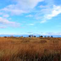 Sky over fields at Illinois Beach State Park, Illinois