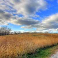 Sky over Prairie at Illinois Beach State Park, Illinois