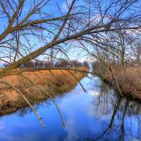 Stream at Illinois Beach State Park, Illinois