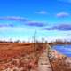 Walkway and shoreline at Illinois Beach State Park, Illinois