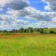 Landscape with clouds on the Jane Adams Trail, Illinois