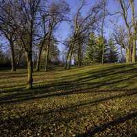 Trees and landscape at Le Aqua Na State Park, Illinois