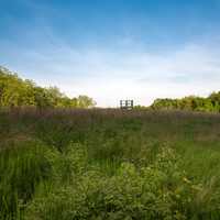 Looking at the watchtower