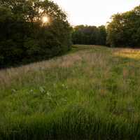 Sun and Prairie View Landscape