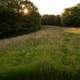 Sun and Prairie View Landscape