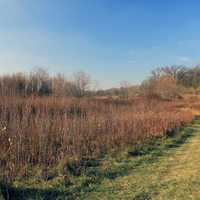 Curving Trail at Rock Cut State Park, Illinois