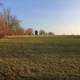 Field at Rock Cut State Park, Illinois