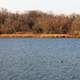 Lake Olson at Rock Cut State Park, Illinois