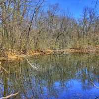 Wooded Pond at Sangchris Lake State Park, Illinois
