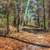 Steps up the hiking trail at Sangchris Lake State Park, Illinois image