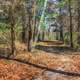 Hiking trail at Sangchris Lake State Park, Illinois