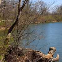 Lakeshore landscape at Sangchris Lake State Park, Illinois