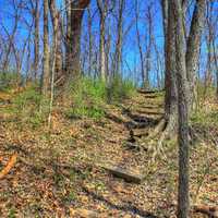 Steps up the hiking trail at Sangchris Lake State Park, Illinois