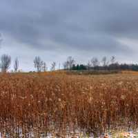 Clouds over the fields at Shabbona Lake State Park, Illinois