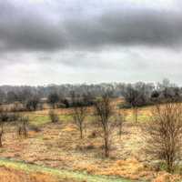 Clouds over Trees at Shabbona Lake State Park, Illinois