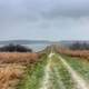 Hiking Trail towards the Lake at Shabbona lake State Park, Illinois