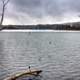 Lake in the Winter at Shabbona Lake State Park, Illinois