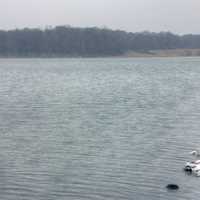 Lake at Shabbona Lake State Park, Illinois