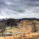 Landscape Overview at Shabbona Lake State Park, Illinois