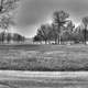 Monochrome of Shabbona Lake, Illinois