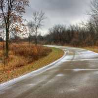 Park Road at Shabbona Lake State Park, Illinois