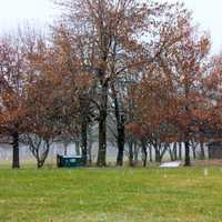 Snow falling at Shabbona Lake State Park, Illinois