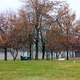 Snow falling at Shabbona Lake State Park, Illinois