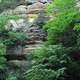 Up the Canyon Wall at Starved Rock State Park, Illinois