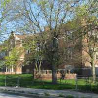 Ralph Waldo Emerson School behind a tree in Gary, Indiana