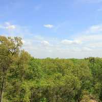 Forest and Sky at Indiana Dunes National Lakeshore, Indiana