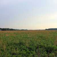 Grassy Prairie at Prophetstown State Park, Indiana